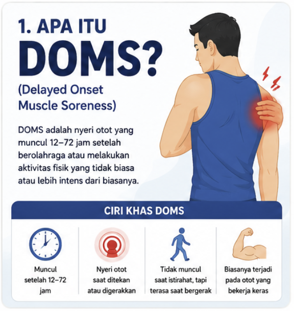 apa itu doms infografik