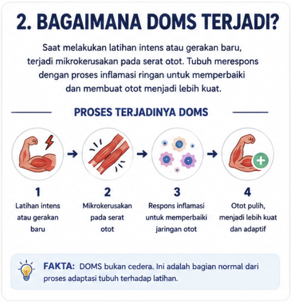 bagaimana doms terjadi
