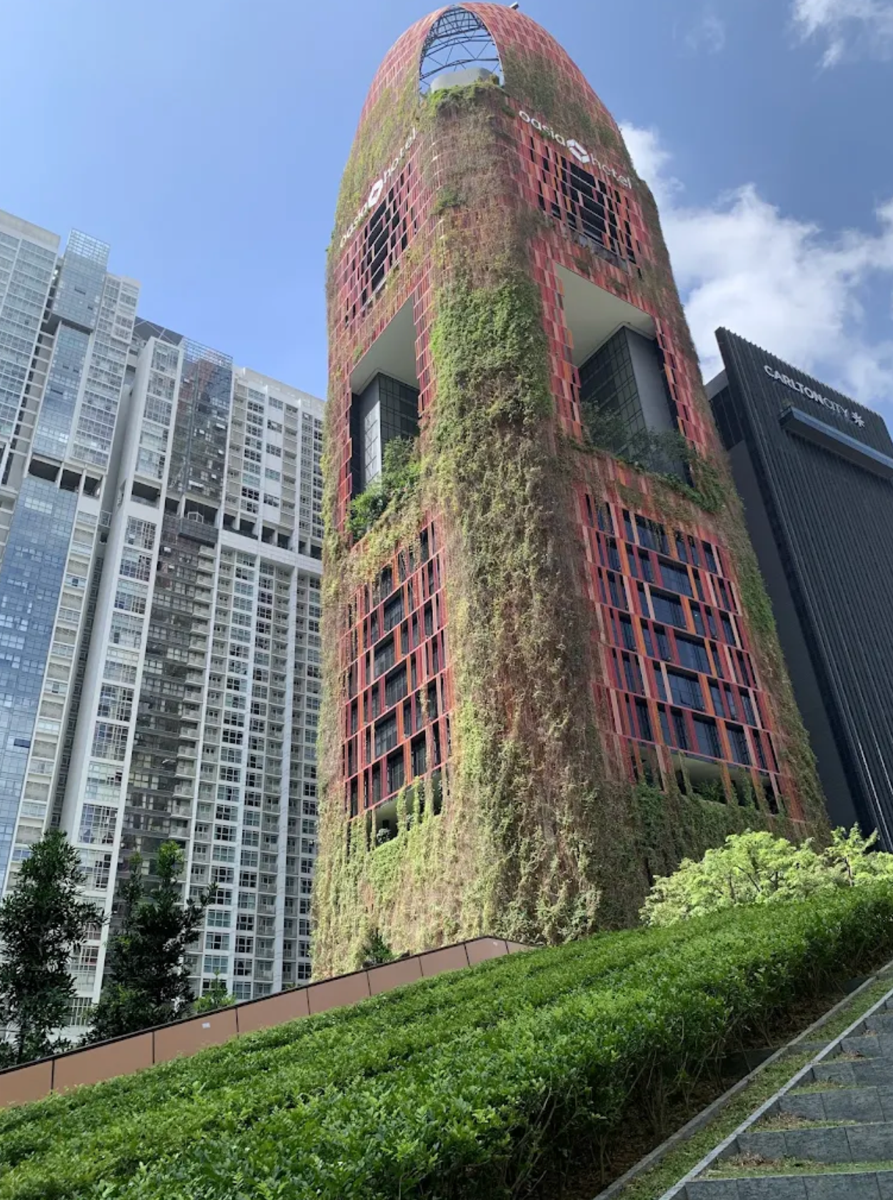 Pain Relief Therapy (Singapore)